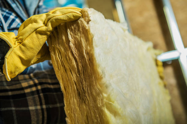 Best Insulation Installation Services in Crystal Lake, FL